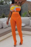 Nightclub Sleeveless Backless See-Through Ostrich Feather Cami Crop Tops And Skinny Pants Two Pieces Trouser Sets