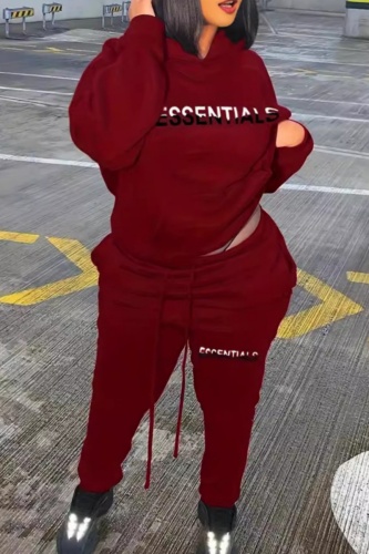 Sportwear Casual Letter Print Long Sleeve Hooded Sweatshirt And Straight Leg Pants Two Pieces Tracksuit Sweatpants Sets