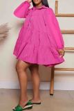 Casual Buttons Turndown Collar Lantern Sleeve Ruffle Hem Ball Gown Vacation A Line Mini Dresses