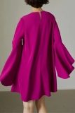 Formal O Neck Flare Sleeve Loose Evening Party Vacation Mini Dresses