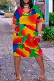 Casual Graphics Print Basic V Neck Long Sleeve Loose Pockets Straight Midi T-Shirt Dress
