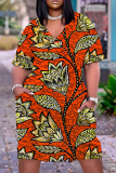 Casual Boho Graphics Print Basic V Neck Long Sleeve Loose Pockets Straight Midi T-Shirt Dress