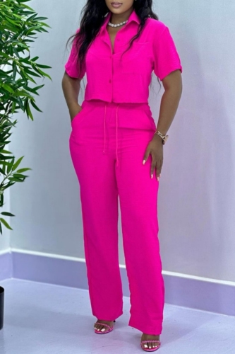 Casual Turndown Collar Short Sleeve Buttons Crop Shirt And Wide Leg Pants Vacation Two Pieces Trouser Sets