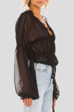 Formal See-Through V Neck Long Sleeve Ruffle Trim Vacation Ruched Chiffon Blouse