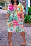 Casual Graphics Print Basic V Neck Short Sleeve Loose Pockets Midi T-Shirt Dress