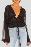 Formal See-Through V Neck Long Sleeve Ruffle Trim Vacation Ruched Chiffon Blouse