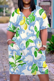 Casual Graphics Print Basic V Neck Short Sleeve Loose Pockets Midi T-Shirt Dress