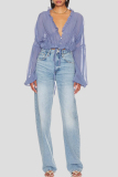 Formal See-Through V Neck Long Sleeve Ruffle Trim Vacation Ruched Chiffon Blouse