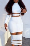 Formal Half A Turtleneck Long Sleeve See-Through Evening Party Bodycon Maxi Dress