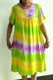 Multicolor Casual Print O Neck Short Sleeve Loose Vacation Plus Size T-shirt Mini Dresses