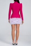 Rose Red Rhinestone Decor Turtleneck Long Sleeve Mesh Ruffle Hem Party Formal Evening Bodycon Mini Dresses