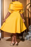 Yellow Flower Decor O Neck Lantern Sleeve  Formal Evening Party Wedding Guest A Line Pleated Midi Dresses