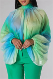 Green Casual Ombre Print Turtleneck Long Sleeve Front Slit Belted Vacation Mesh Blouse