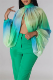 Green Casual Ombre Print Turtleneck Long Sleeve Front Slit Belted Vacation Mesh Blouse