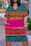 Dark Brown Leopard Graphic Print V Neck Short Sleeve Casual Outing Straight T Shirt Midi Dress