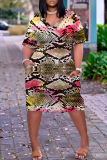 Dark Brown Leopard Graphic Print V Neck Short Sleeve Casual Outing Straight T Shirt Midi Dress