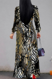 Multicolor Geometric Leopard Print Deep V Neck Long Sleeve Lace Up Casual Outing Vacation Loose Maxi Dress