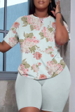Multicolor Floral Graphic Print O Neck Short Sleeve Oversized T Shirt and Shorts Casual Outing Elastic Waist Plus Size Two Piece Short Set