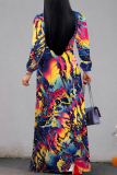 Multicolor Geometric Leopard Print Deep V Neck Long Sleeve Lace Up Casual Outing Vacation Loose Maxi Dress
