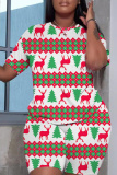 Red Christmas Plaid Print Round Neck Short Sleeve T-shirt and Shorts Two Pieces Matching Sets