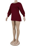 Black Wine Red Round Neck Lantern Sleeve Mini Sweater Dress Casual Vacation Wear Straight Loose Knit Dress