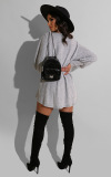 Black Wine Red Round Neck Lantern Sleeve Mini Sweater Dress Casual Vacation Wear Straight Loose Knit Dress