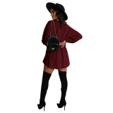 Black Wine Red Round Neck Lantern Sleeve Mini Sweater Dress Casual Vacation Wear Straight Loose Knit Dress
