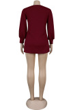Black Wine Red Round Neck Lantern Sleeve Mini Sweater Dress Casual Vacation Wear Straight Loose Knit Dress