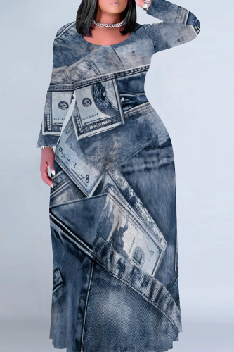 Grey Blue Graphic Floral Print O Neck Long Sleeve Floor Length Casual Outing Plus Size Loose Maxi Dress