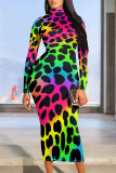 Purple Blue Animal Print O Neck Long Sleeve Casual Outing Vacation Fall Bodycon Maxi Dress