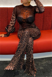 Gauze Sexy Party Club Leopard Print See-Through Round Neck Long Sleeve Flare Leg Bodycon Jumpsuits