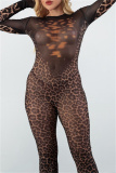 Gauze Sexy Party Club Leopard Print See-Through Round Neck Long Sleeve Flare Leg Bodycon Jumpsuits