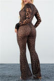 Gauze Sexy Party Club Leopard Print See-Through Round Neck Long Sleeve Flare Leg Bodycon Jumpsuits