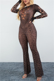 Gauze Sexy Party Club Leopard Print See-Through Round Neck Long Sleeve Flare Leg Bodycon Jumpsuits