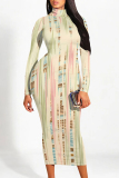White Striped Print Colorblock Half A Turtleneck Long Sleeve Casual Outing Bodycon Maxi Dress