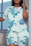 Lake Blue Casual Abstract Floral Print Gradient Round Neck Short Sleeve T-shirt and Shorts Two Piece Matching Sets