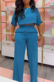 Blue O Neck Half Sleeve Crop Top and High Elastic Waist Wide Leg Pant Casual Outing Plus Size Two Piece Trouser Set