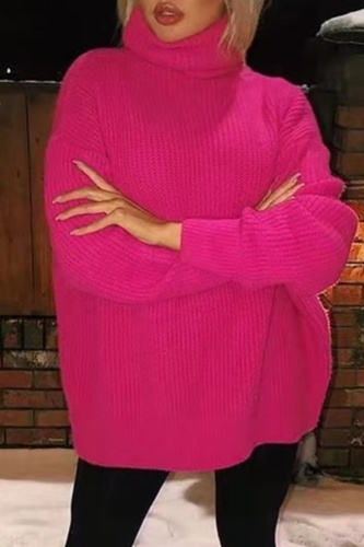 Purple Casual Loose Turtleneck Long Sleeve Fall Winter Knitted Sweater Tops