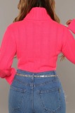 Orange Casual Loose Turtleneck Long Sleeve Fall Winter Short Knitted Sweater Tops