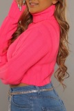 Orange Casual Loose Turtleneck Long Sleeve Fall Winter Short Knitted Sweater Tops
