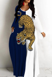 Blue White Casual Graphcis Print Long Sleeve V Neck Floor Length Loose Vacation Baggy Maxi Dress