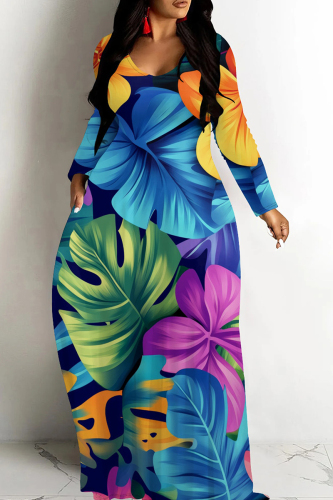 Teal Casual Tropical Print Long Sleeve V Neck Floor Length Loose Vacation Baggy Loose Maxi Dress