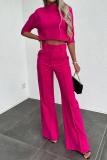 Pink Office Lady Business Casual Half A Turtleneck Three Quarter Sleeve Tops and Wide Leg Pants Two Pieces Sets
