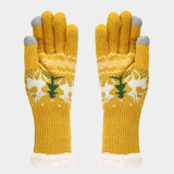 Red Christmas Reindeer Pattern Wapiti Contrast Knitted Hat Scarf Gloves Set