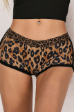 White Sexy Sportswear Leopard Print Stripe Bodycon Yoga Shorts Boxer Brief