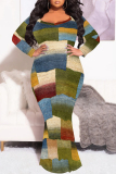 Brown Graphic Print O Neck Long Sleeve Floor Length Casual Outing Plus Size Bodycon Maxi Dress