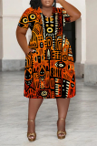 Orange Casual National Totem Graphics Print V Neck Short Sleeve Loose Pockets Midi T-Shirt Dress