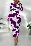 Orange Graphcis Print O Neck Long Sleeve Long Casual Outing Bodycon Maxi Dress