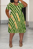 Orange Casual National Totem Graphics Print V Neck Short Sleeve Loose Pockets Midi T-Shirt Dress