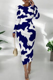 Orange Graphcis Print O Neck Long Sleeve Long Casual Outing Bodycon Maxi Dress
